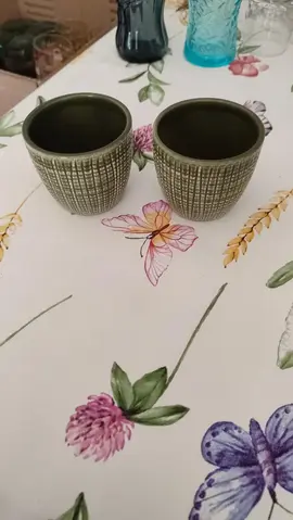 2 petits pot