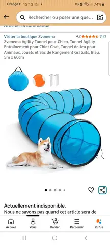 Tunnel pour chiens. Agility