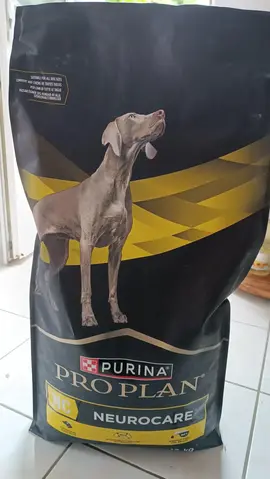 Croquettes et médicaments/compléments Chien Sénior