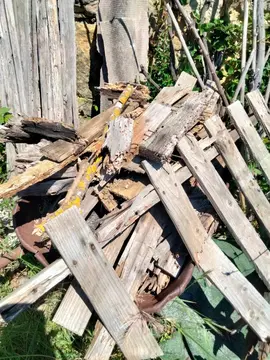 bois sec pour bbq et cheminée