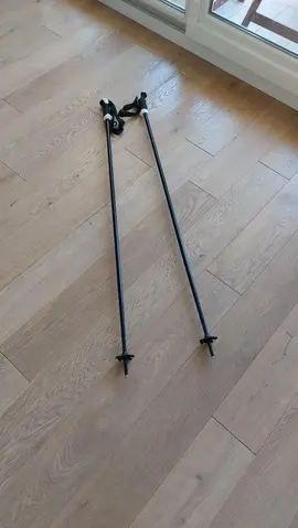 bâtons de ski