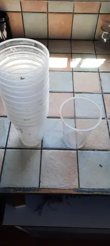 lot de gobelet plastique alimentaire