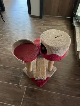 petit arbre à chat