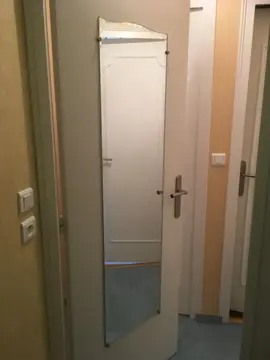 Miroir de porte