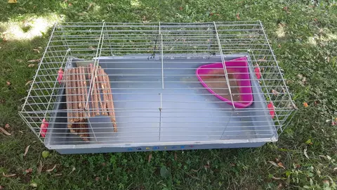 Lot rongeurs : grande cage, cage de transport et accessoires