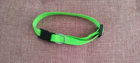 Collier chat