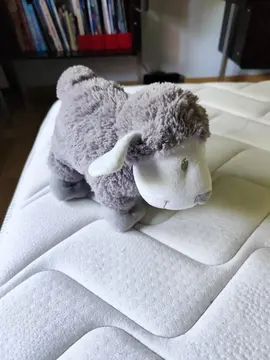 peluches