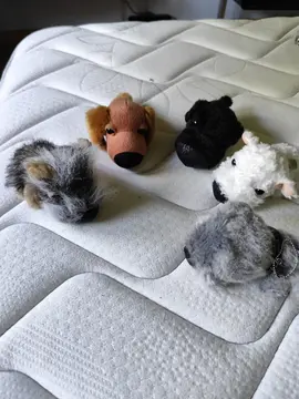 peluches