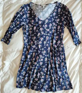 Robe Springfield M