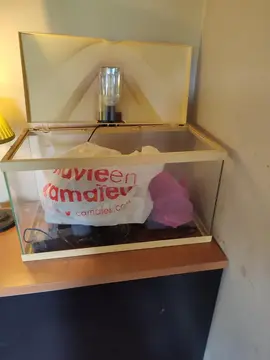 Aquarium