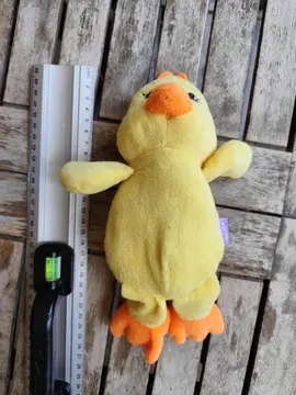 peluche