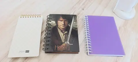 3 petits carnets à spirale