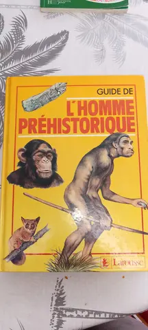 livre sur la préhistoire