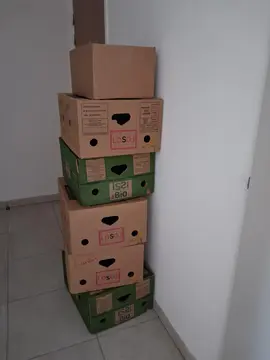 donne cartons déménagement