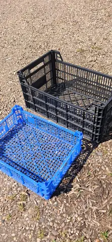 cagettes en plastiques