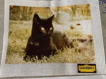 Chat à broder sur canevas