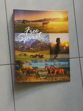 Classeur Chevaux