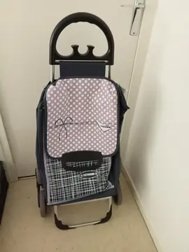 Caddy pour faire les courses triple roues