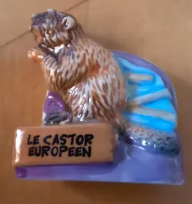 1 fève castor / Picardie