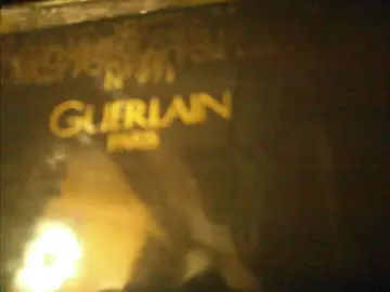 POUDRIER GUERLAIN & PINCEAU (ce qu'il en reste)