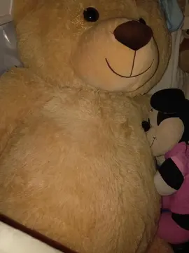 Ours en peluche