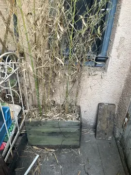 bac en bois