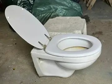 Cuvette WC suspendu Geberit