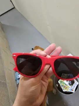 lunette de soleil et decoration