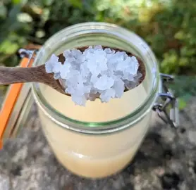 Grains de kefir