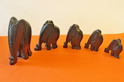 Famille d'éléphants