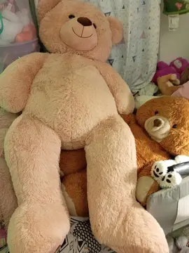 peluche