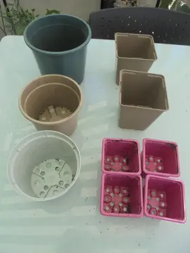 Pots en plastique pour semis