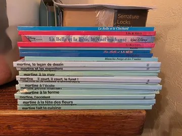 à donner livre pour enfant : une série de la collection Martine et quelques Disney