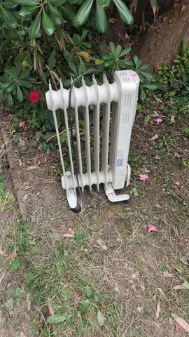 radiateur bain huile