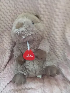 Peluche Prénom "Jules"