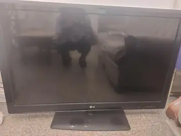 TV de marque LG