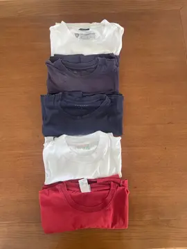 lot 5 tee shirt homme M/L