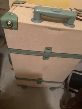 valise Steamline luggage
