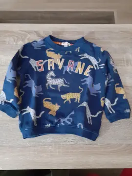 pull Savane 2-3 ans