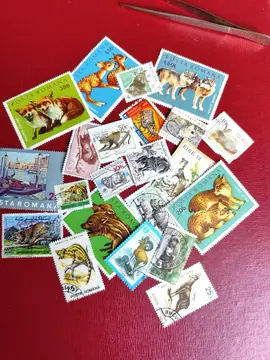 lot unique timbres animaux
