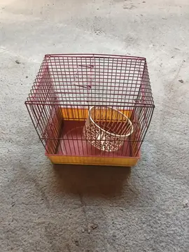 cage à hamster