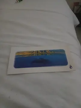 carte postale dauphin