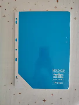 Feuilles perforées à petits carreaux - Lot 2