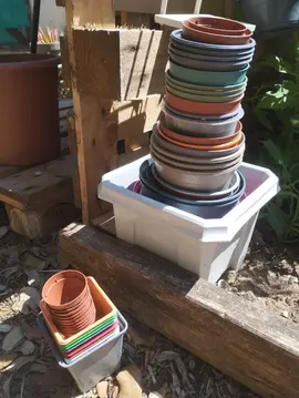 pots plastiques plantes