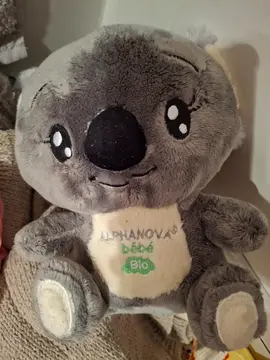 peluche koala
