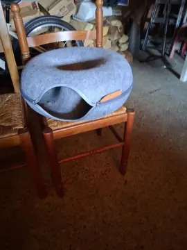 niche pour chat