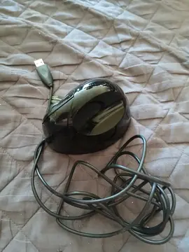 souris-sabot