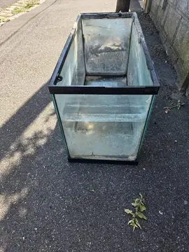 aquarium