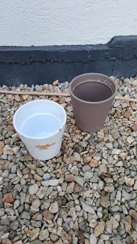 2 pots de fleurs en terre cuite 15 cm