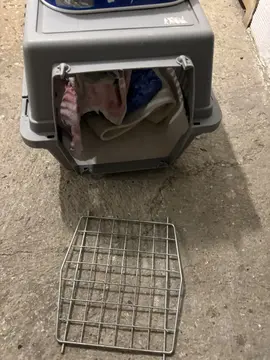 cage de transport chat et couffin